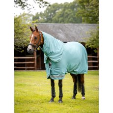 LeMieux Arika Ripstop 0G Turnout Rug LeMieux Arika Ripstop 0G Turnout Rug