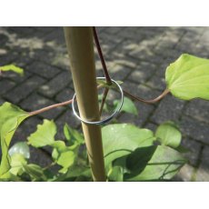 Garland Galv Plant Rings Garland Galv Plant Rings