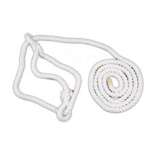 Halter Cattle Showing White Halter Cattle Showing White