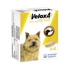 Veloxa Dog - 4 Tablets Veloxa Dog - 4 Tablets