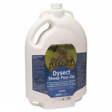 Dysect Sheep Pour On - 5l Dysect Sheep Pour On - 5l