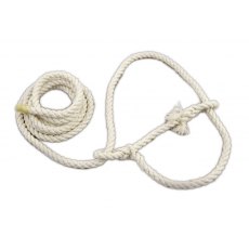 Halter Sheep - Cotton Standard Halter Sheep - Cotton Standard