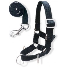 Crafty Ponies Lunge Set Crafty Ponies Lunge Set