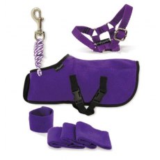 Crafty Ponies Rug Set Crafty Ponies Rug Set