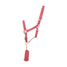 Hy Rose Gold Headcollar And Lead Rope Hy Rose Gold Headcollar And Lead Rope