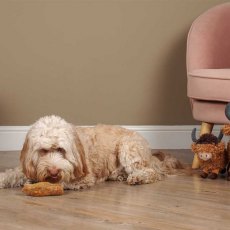 Zoon Yak Chew With Turmeric - 3 Bars - 35g Zoon Yak Chew With Turmeric - 3 Bars - 35g