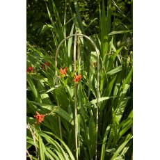 Tom Chambers Bamboo Hoops - 90cm Tom Chambers Bamboo Hoops - 90cm