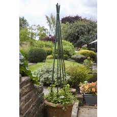 Tom Chambers Plant Stake - 120cm Tom Chambers Plant Stake - 120cm