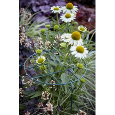 Tom Chambers Gro Thru - Medium Tom Chambers Gro Thru - Medium