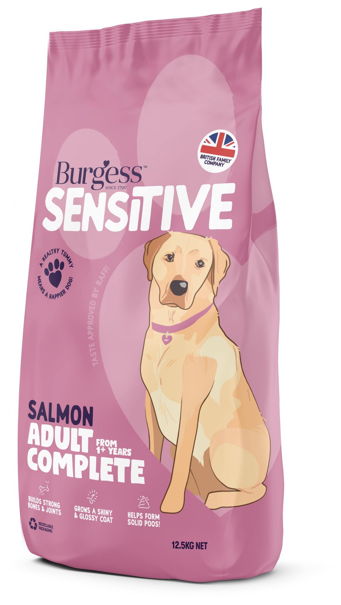 burgess sensitive dog food salmon