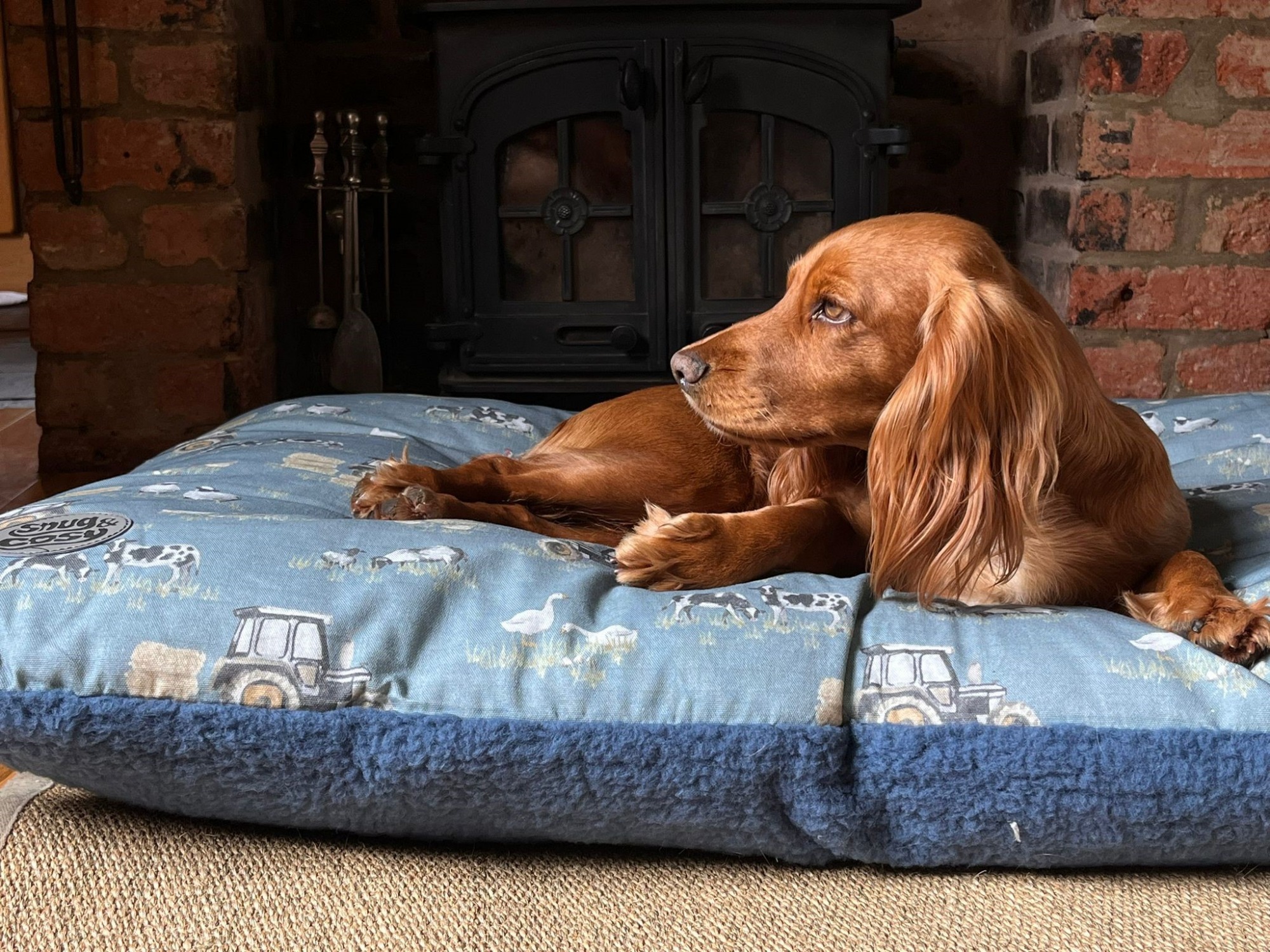 Purina dog somple bed