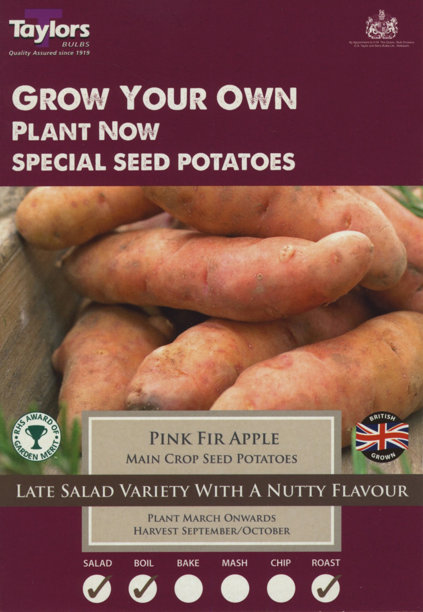 Pink Fir Apple Seed Potato - 10pk - BATA Ltd