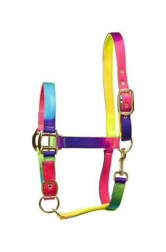 Rainbow headcollar hotsell