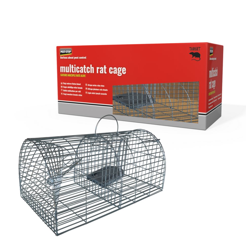 Multi level hotsell rat cage