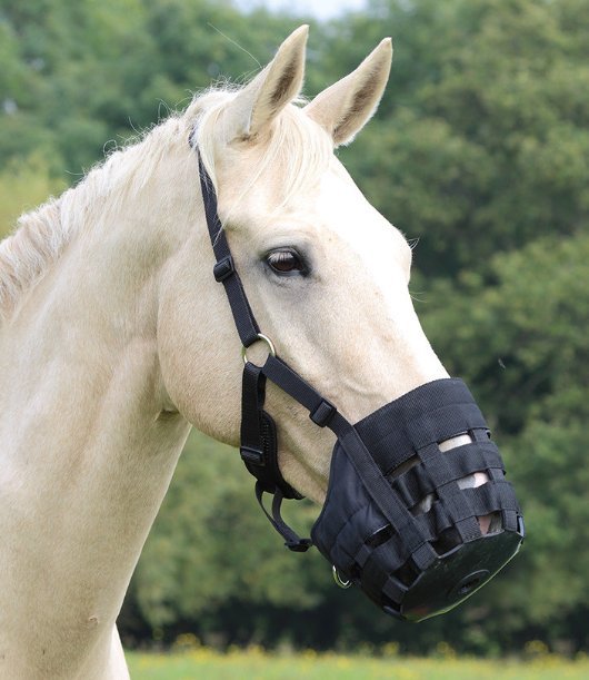 Mini horse hotsell grazing muzzle