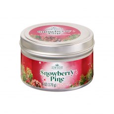 Premier Scentsicles Candle - 170g Premier Scentsicles Candle - 170g