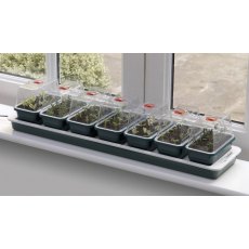Garland Super 7 Propagator Garland Super 7 Propagator