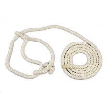 Halter Calf - Cotton Halter Calf - Cotton