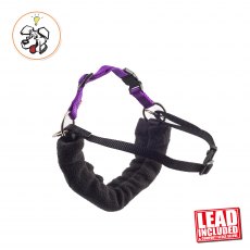 Ancol Pdl Harness & Lead - Small Ancol Pdl Harness & Lead - Small