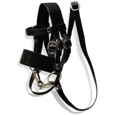 Crafty Ponies Bridle Crafty Ponies Bridle