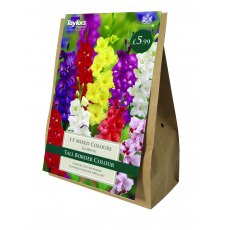 The Border Collection Mix The Border Collection Mix