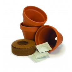 Chilli House Kit - Large Chilli House Kit - Large