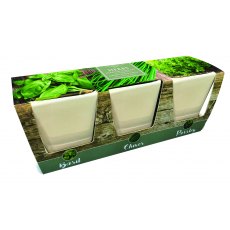 Windowsill Herb Pot Windowsill Herb Pot