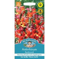 Fothergills Antirrhinum Rembrant Fothergills Antirrhinum Rembrant