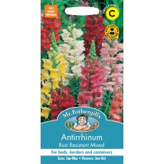 Fothergills Antirrhinum Rust Resistant Mixed Fothergills Antirrhinum Rust Resistant Mixed
