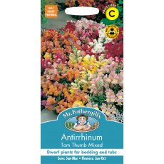 Fothergills Antirrhinum Tom Thumb Mixed Fothergills Antirrhinum Tom Thumb Mixed