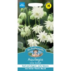Fothergills Aquilegia Lime Sorbet Fothergills Aquilegia Lime Sorbet