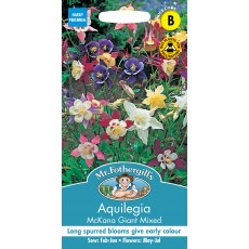 Fothergills Aquilegia Mckana Giant Mixed Fothergills Aquilegia Mckana Giant Mixed