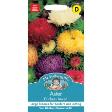 Fothergills Aster Duchess Mixed Fothergills Aster Duchess Mixed