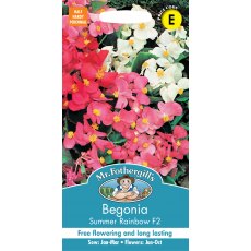 Fothergills Begonia Summer Rainbow F2 Fothergills Begonia Summer Rainbow F2