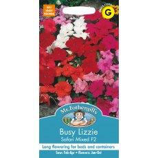 Fothergills Busy Lizzie Safari Mixed F2 Fothergills Busy Lizzie Safari Mixed F2