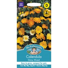 Fothergills Calendula Mr F's Daisy Mixed Fothergills Calendula Mr F's Daisy Mixed