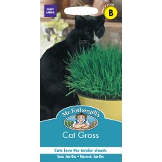 Fothergills Cat Grass Seed Fothergills Cat Grass Seed