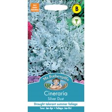 Fothergills Cineraria Silver Dust Fothergills Cineraria Silver Dust