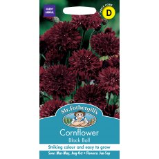 Fothergills Cornflower Black Ball Fothergills Cornflower Black Ball