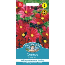 Fothergills Cosmos Rubenza Fothergills Cosmos Rubenza