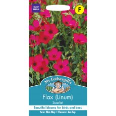 Flax Scarlet Flax Scarlet