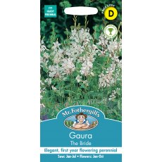 Fothergills Gaura The Bride Fothergills Gaura The Bride