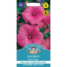 Fothergills Lavatera Ruby Regis Fothergills Lavatera Ruby Regis