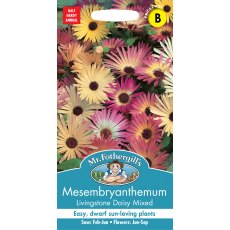 Fothergill Mesembryanthemum Livingstone Daisy Mixed Fothergill Mesembryanthemum Livingstone Daisy Mixed