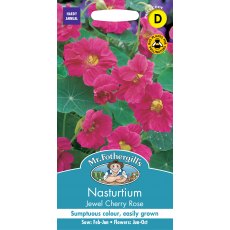 Fothergills Nasturtium Jewel Cherry Rose Fothergills Nasturtium Jewel Cherry Rose