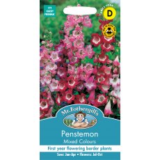 Fothergills Penstemon Mixed Colours Fothergills Penstemon Mixed Colours