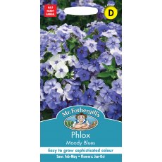 Fothergills Phlox Moody Blues Fothergills Phlox Moody Blues