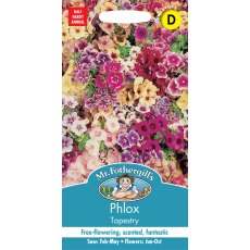 Fothergills Phlox Tapestry Fothergills Phlox Tapestry