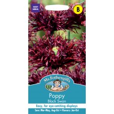 Fothergills Papaver Black Swan Fothergills Papaver Black Swan