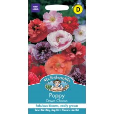 Fothergills Poppy Dawn Chorus Fothergills Poppy Dawn Chorus